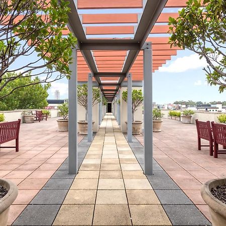 Nesuto Chippendale Apart otel Sidney Dış mekan fotoğraf